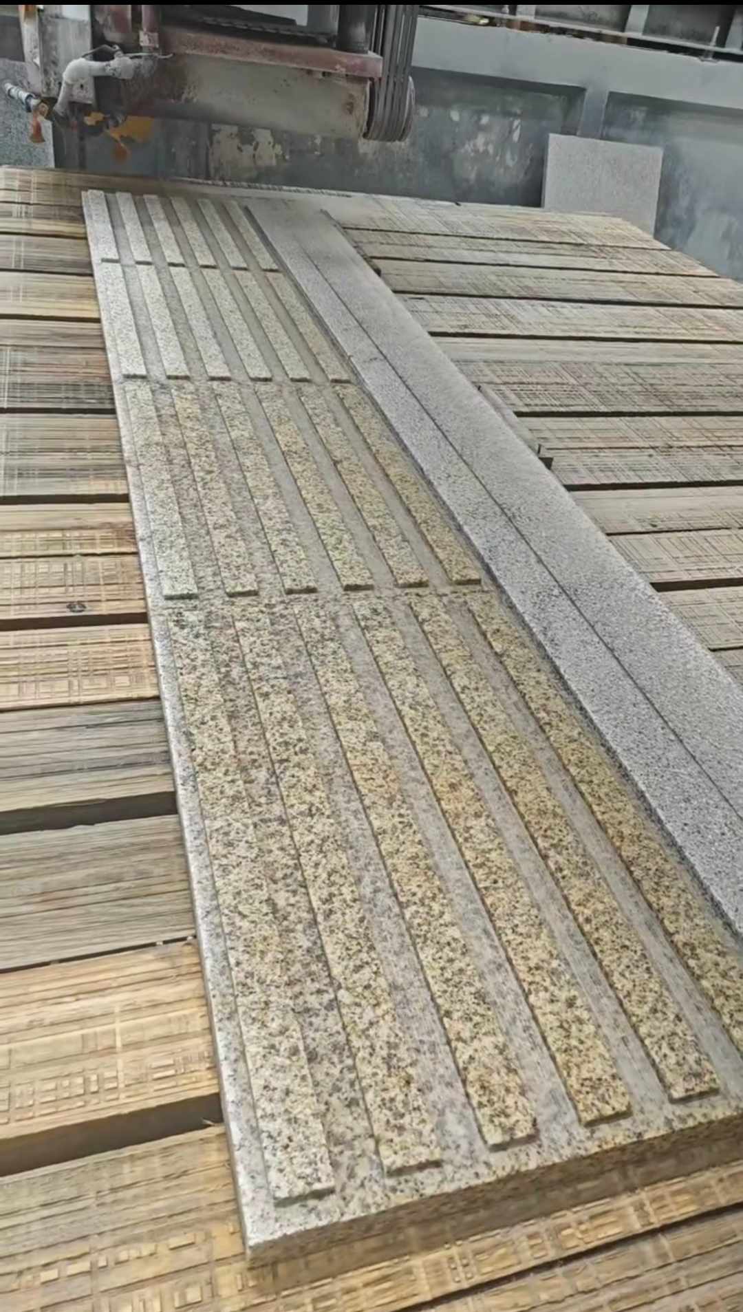 榆林黄金麻盲道石 盲条